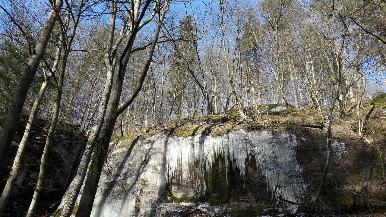 Saengerwiese Eisenach Buitenkant foto