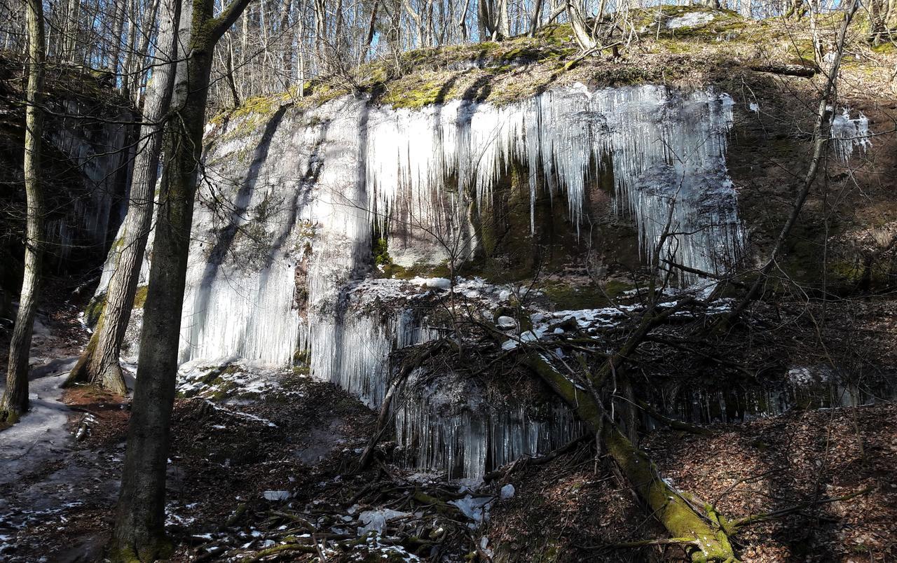 Saengerwiese Eisenach Buitenkant foto